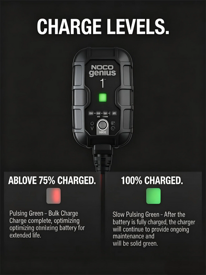 Revive & Maintain Your Dead Batteries Automatically